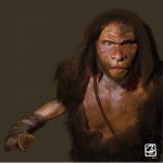 Modèle 3D: "Néandertal".