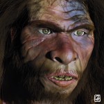 Modèle 3D: "Néandertal".