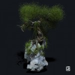 Modélisation 3D: "arbres et rochers".