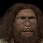 Modélisation 3d:"Neandertal".l"