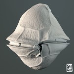 Modélisation 3D: "micro-algues"