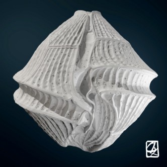 Modélisation 3D: "micro-algues"
