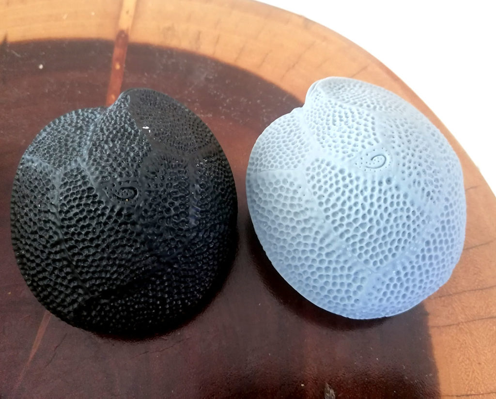 3D printing: micro algaes
