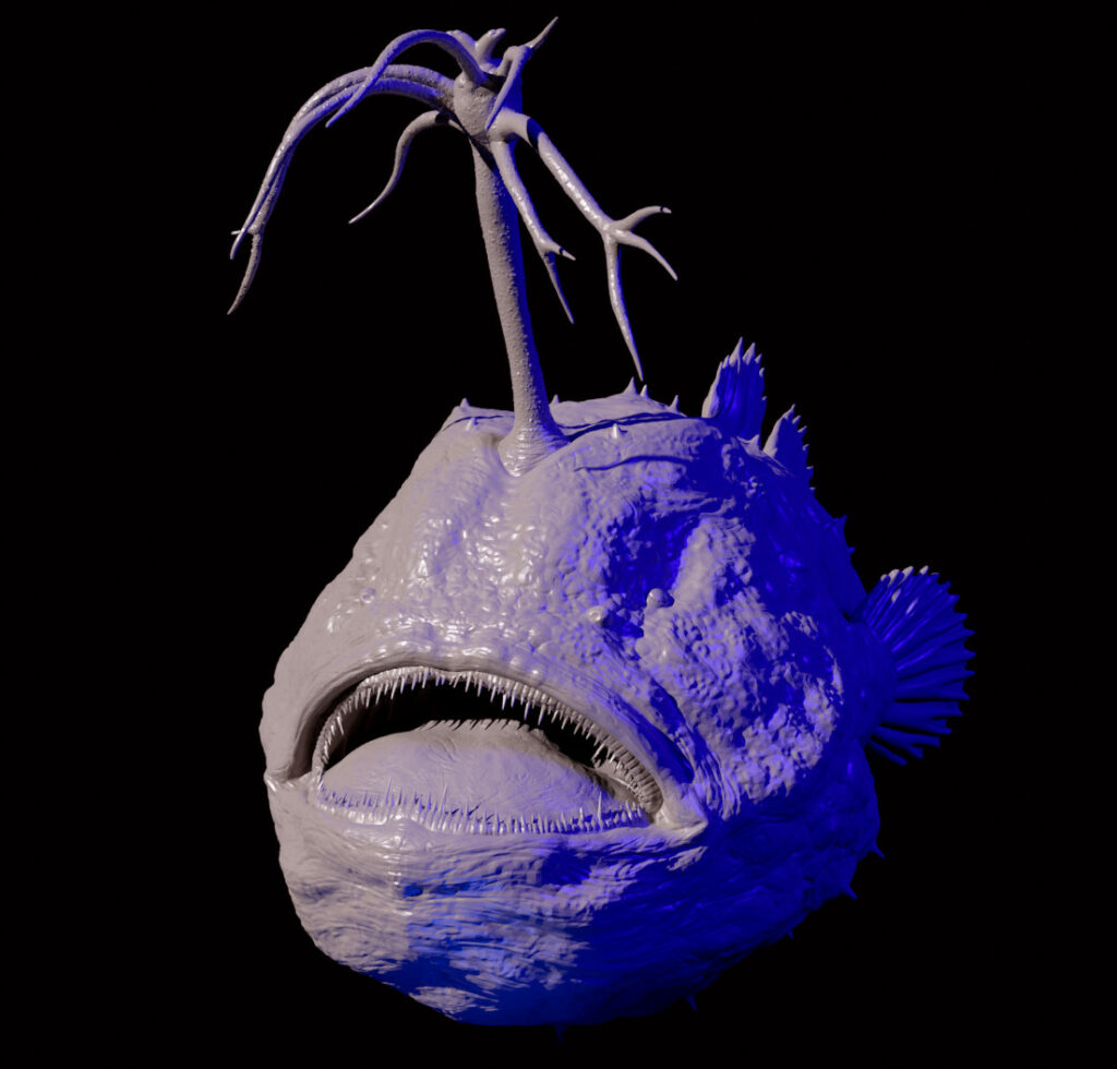 Interprétation 3D et modélisation : baudroie himantolophus groenlandicus