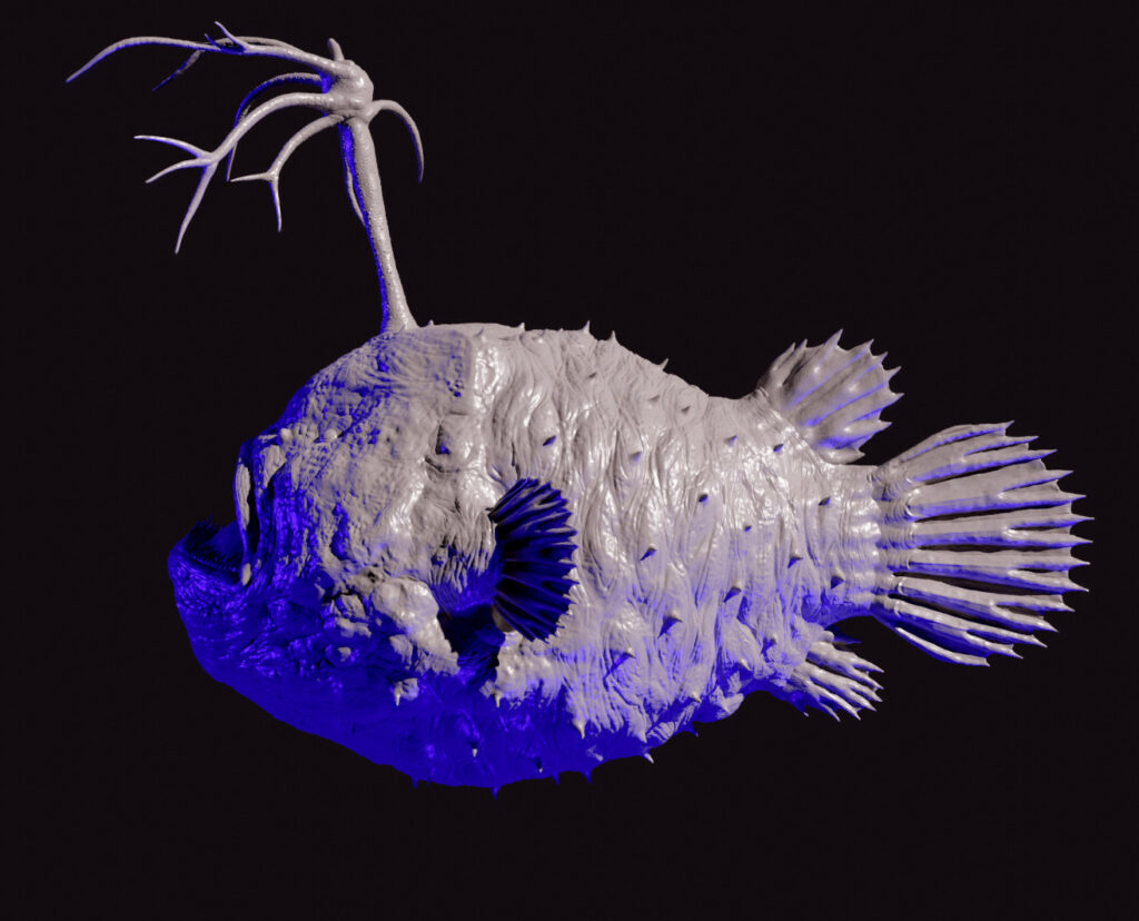 Interprétation 3D et modélisation: baudroie himantolophus groenlandicus