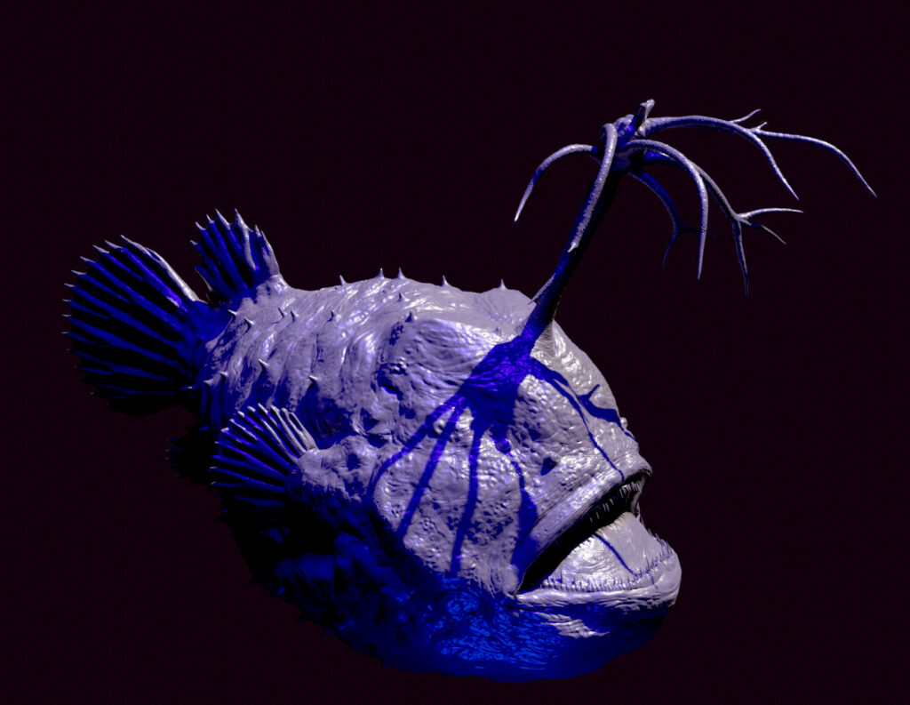 Interprétation 3D et modélisation: baudroie himantolophus groenlandicus